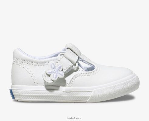 Keds baskets en cuir à bride en T Daphne doux |   Keds France B2XZ0X237 grand enfant